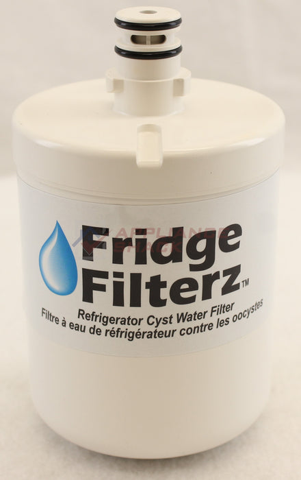 FRIDGE WATER FILTER 500G L 42 & 5 (AS-0168703/ADQ72910911HB)